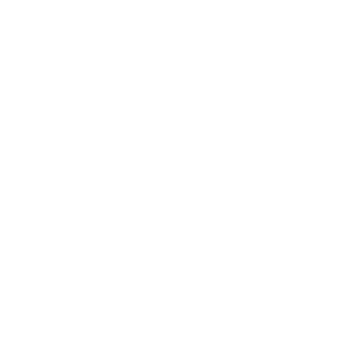 Lesson